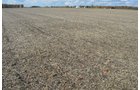 Property photo 48 - 75.3 Acres Offered in 2 Tracts